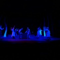 DSC08741.JPG