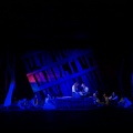 DSC08777.JPG